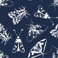 White silhuette butterflies on a blue background